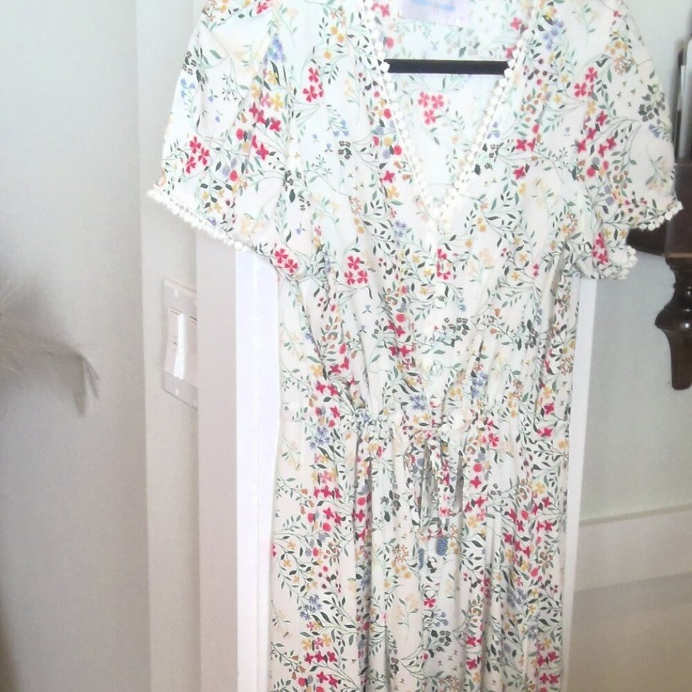 Walker and Wade Dress